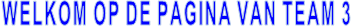 WELKOM OP DE PAGINA VAN TEAM 3